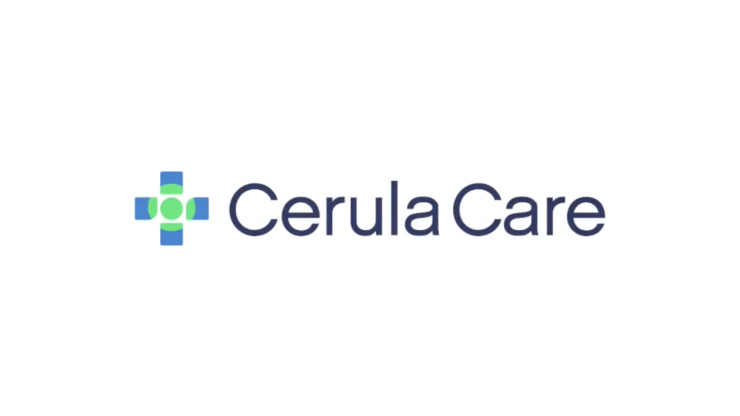 Cerula Care: Collaborating with VOA for Improved Psychosocial Care for Patients